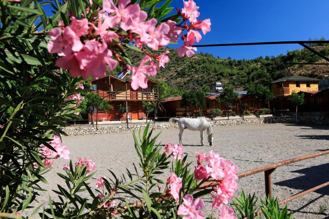 Oranj Ranch Hotel Kemer Bagian luar foto