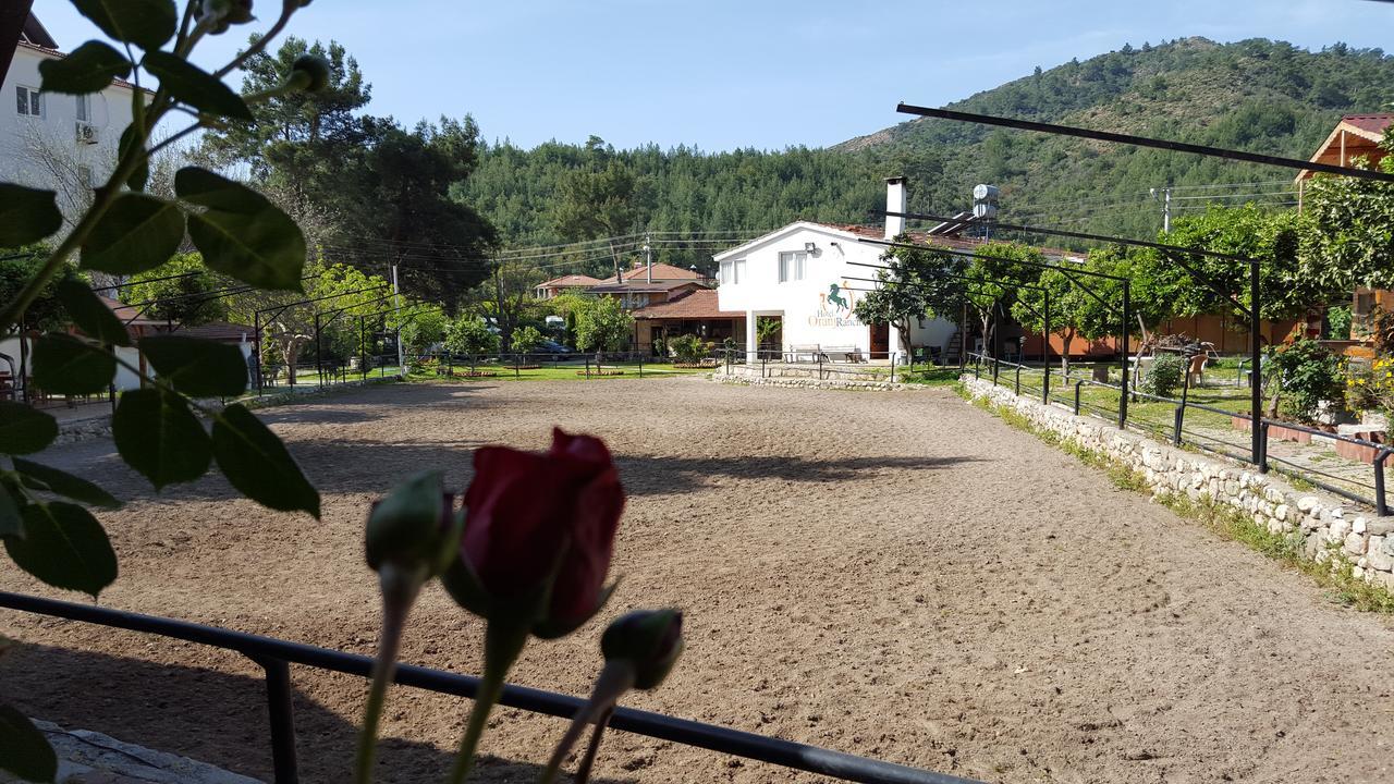 Oranj Ranch Hotel Kemer Bagian luar foto