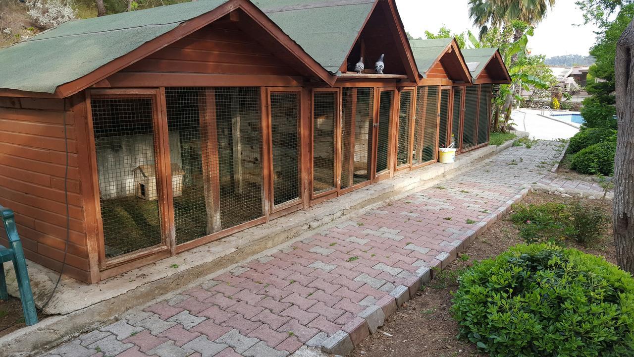 Oranj Ranch Hotel Kemer Bagian luar foto