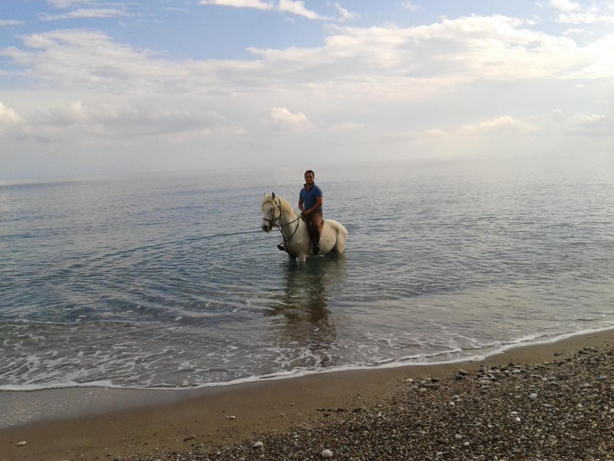 Oranj Ranch Hotel Kemer Bagian luar foto