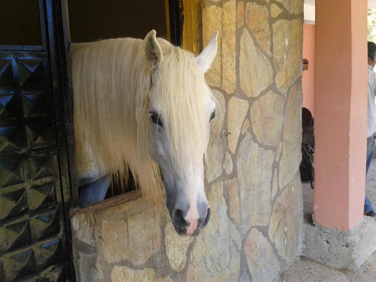 Oranj Ranch Hotel Kemer Bagian luar foto